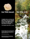 Biscuit Ad