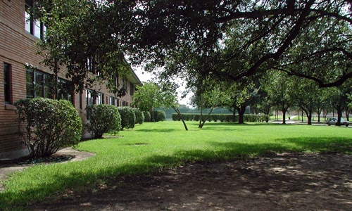 front lawn