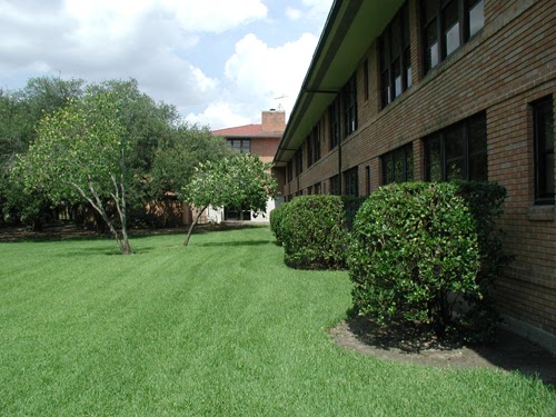 front lawn