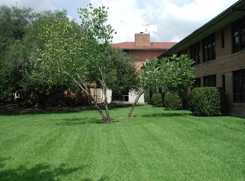 front lawn