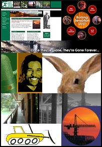 Collage of e.designs projects